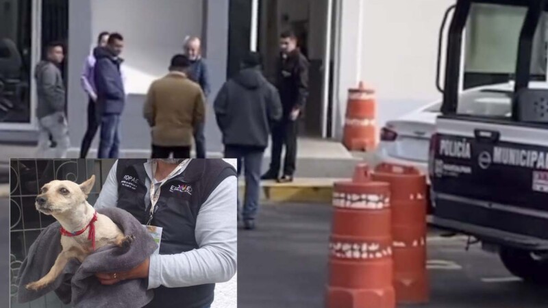 Empleado agresor de perrito en Edomex, finalmente se entrega a la FGE