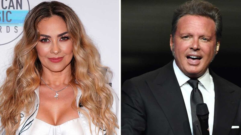 Aracely Arámbula demanda penalmente a Luis Miguel