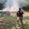 Autoridades incineran drogas y objetos ilícitos en Bacalar