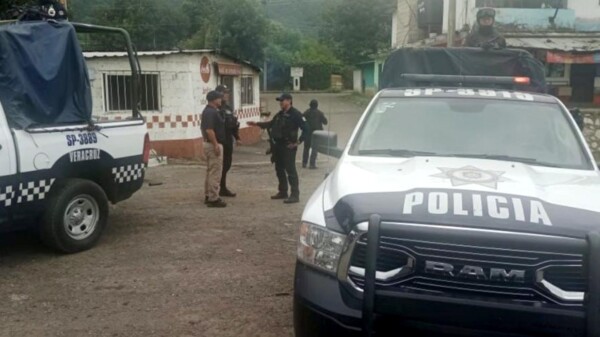 Descubren cinco cuerpos en fosa clandestina en Veracruz