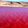 El Río Nilo se tiñe de sangre y causa pánico por su presagio bíblico