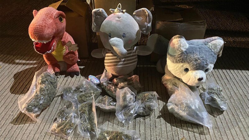 Decomisa GN peluches rellenos de mariguana en Sinaloa