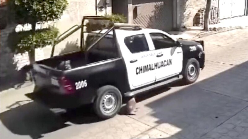Policías de Edomex atropellan y matan a perrito