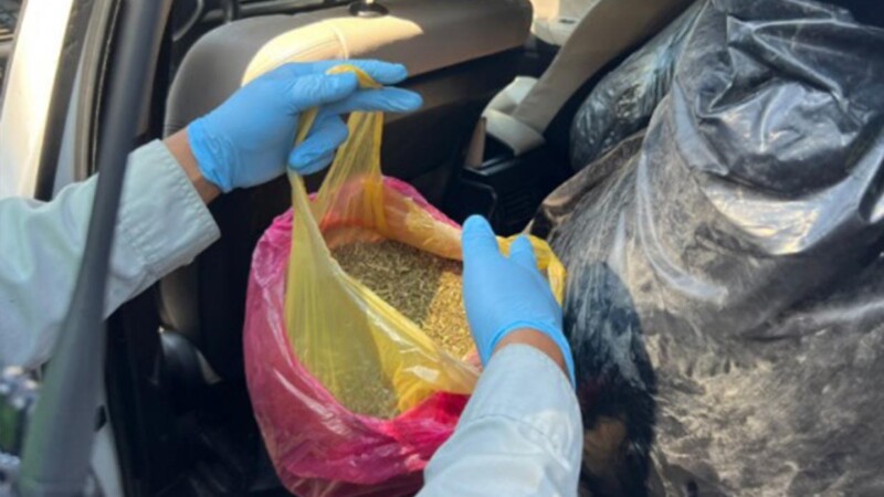 Asegura Guardia Nacional cargamento de mariguana en Jalisco