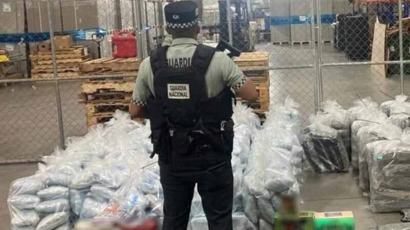 Incautan más de media tonelada de marihuana que sería enviada a Cancún
