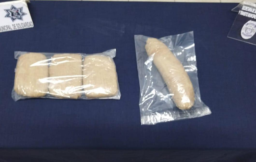 Detenido por intentar meter droga al penal de Playa del Carmen, binomio canino marcó una alerta positiva a un vehículo que ingresaba.