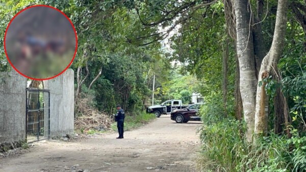 Descubren brutal homicidio en la colonia El Pedregal de Cancún