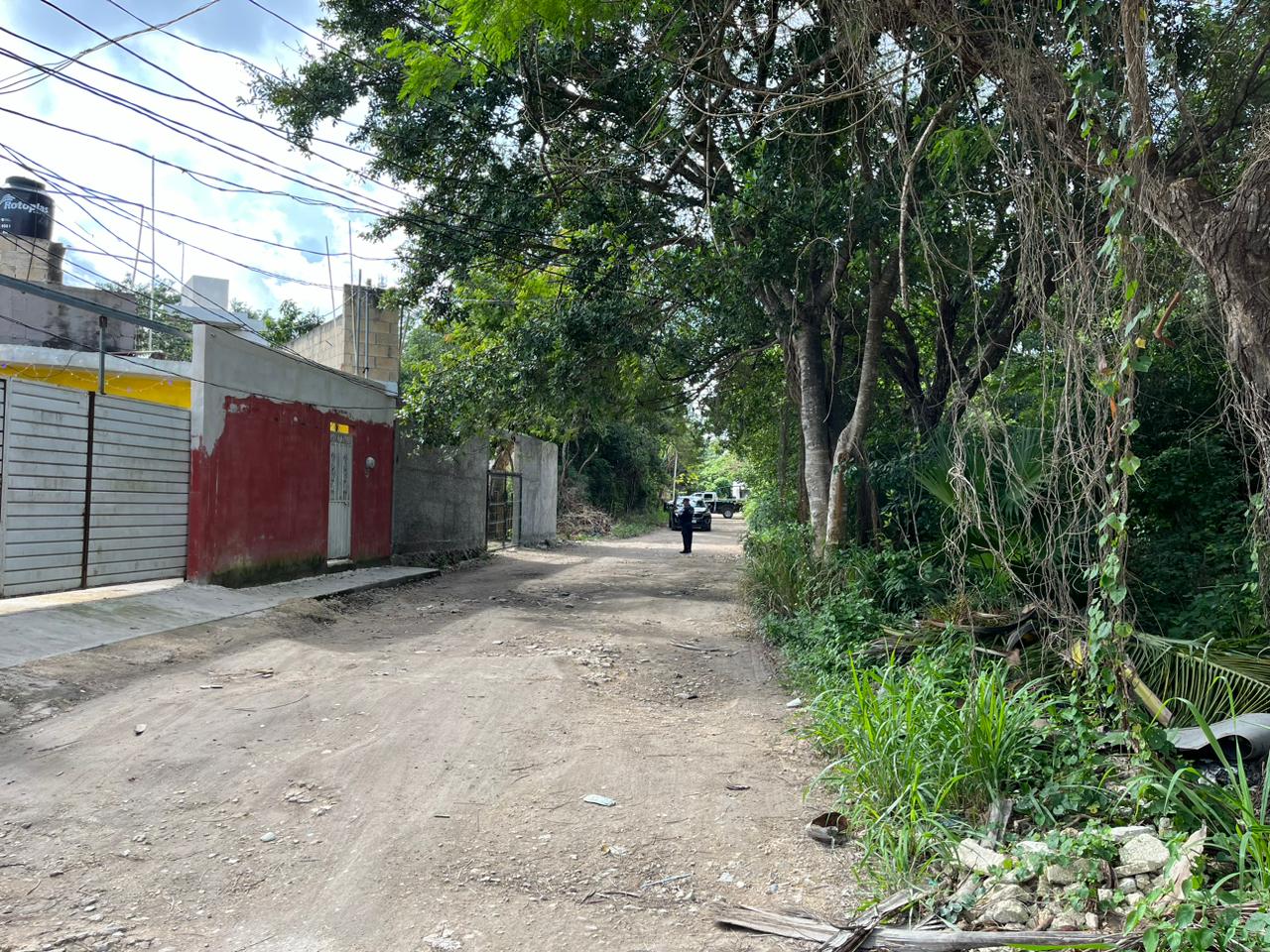 Descubren brutal homicidio en la colonia El Pedregal de Cancún; vecinos descubre el cuerpo de un hombre al que le destrozaron el cráneo.