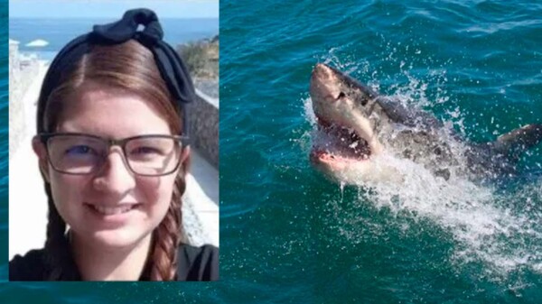 Por mortal atraque de tiburón, restringen 5 km de playa en Jalisco