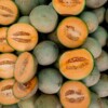 Cierran temporalmente procesadora de Sonora por caso de melones contaminados con salmonella