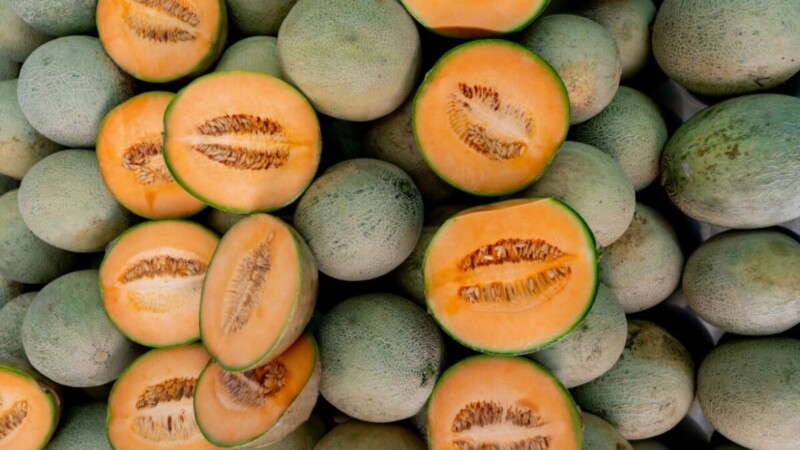 Cierran temporalmente procesadora de Sonora por caso de melones contaminados con salmonella