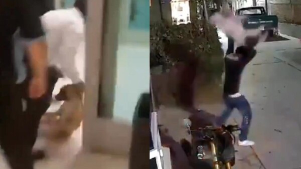 Casos de maltrato animal en Chihuahua y Edomex indignan a México