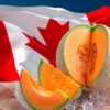 Mueren seis personas en Canadá por melones mexicanos