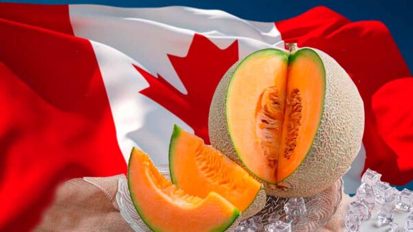 Mueren seis personas en Canadá por melones mexicanos