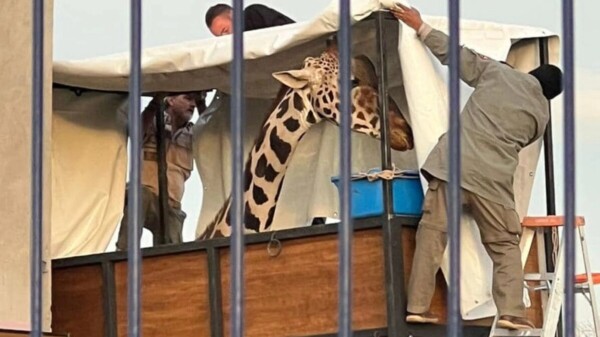 Embarcan a Benito, desde Juárez sale rumbo a Puebla