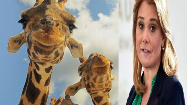 Maru Campos no pudo construir un cuarto a Benito y pide perdón