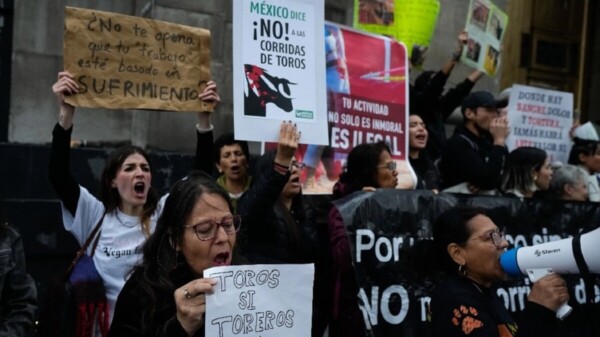 Avala Suprema Corte reanudar corridas de toros en CdMx