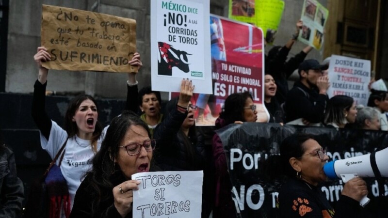 Avala Suprema Corte reanudar corridas de toros en CdMx