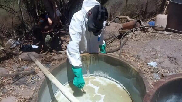 Elevarían a rango constitucional prohibición de drogas químicas