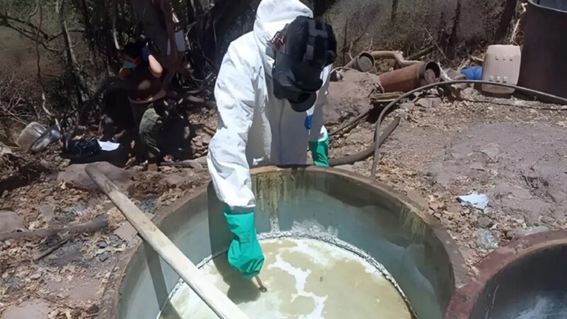 Elevarían a rango constitucional prohibición de drogas químicas