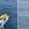 Tripulación de crucero rescata a 6 pescadores de Cozumel desaparecidos en alta mar (VIDEO)
