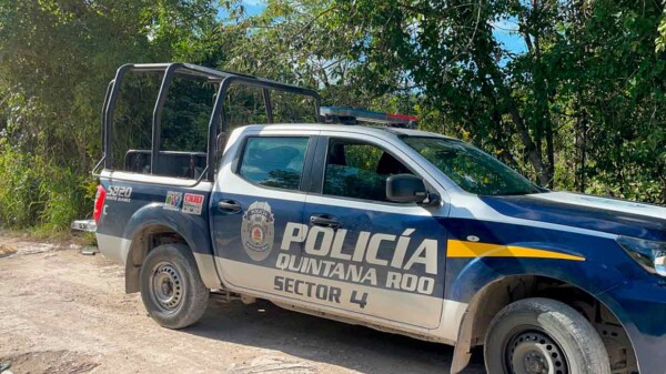 Indigente encuentra restos humanos en la SM 214 de Cancún