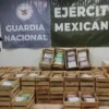Militares descubren 600 paquetes de narcóticos entre nopales