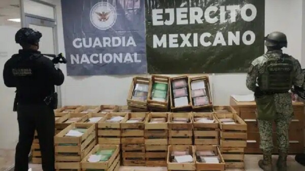 Militares descubren 600 paquetes de narcóticos entre nopales