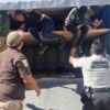 Descubren con Rayos X a 64 inmigrantes hacinados en dos camionetas