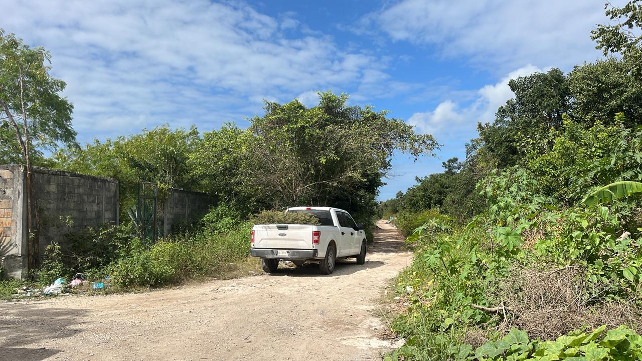Localizan cuerpos en un cenote en la delegación Alfredo V. Bonfil; esta mañana se llevó a cabo una diligencia en la calle Serapio Flota y Felipe Amaro.