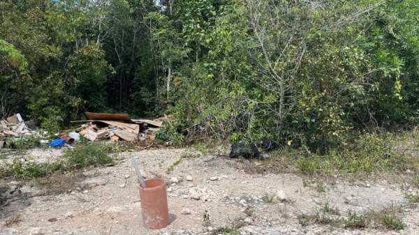 Localizan osamenta en el Polígono Sur