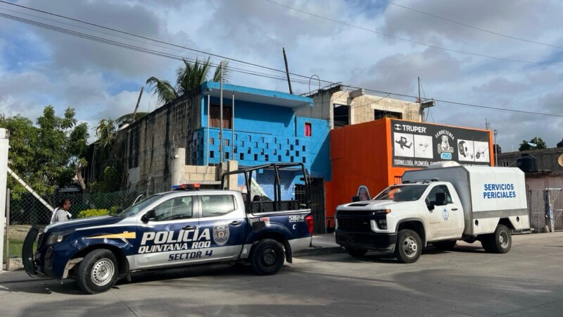 Hallan motocicletas robadas durante un cateo a una vivienda en la Leona Vicario