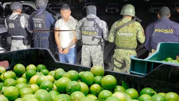 Cae encargado de extorsión a limoneros en Michoacán