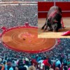Juez reactiva corridas de toros en la Plaza México