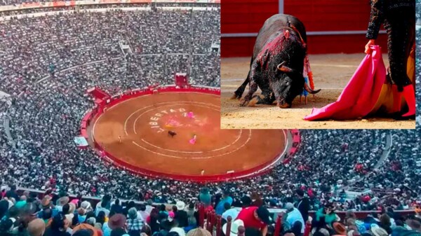 Juez reactiva corridas de toros en la Plaza México