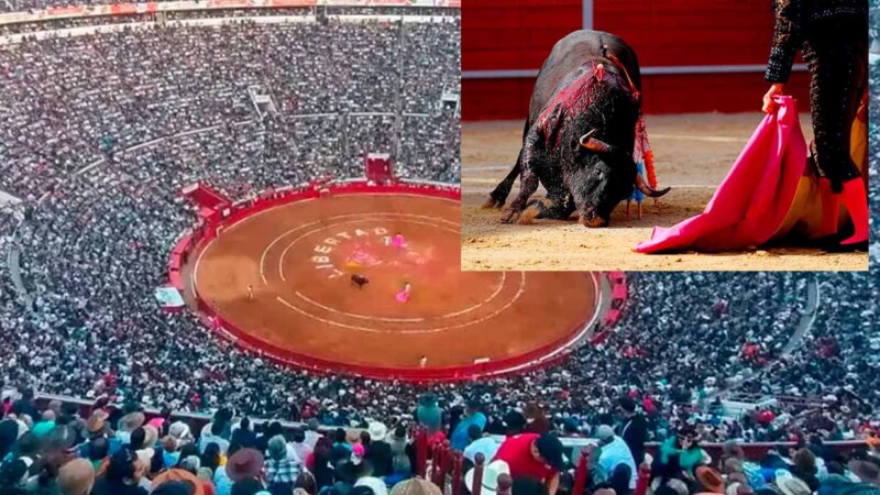 Juez reactiva corridas de toros en la Plaza México
