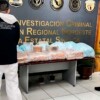 Incautan 189,922 pastillas de fentanilo en paquetería de Sinaloa