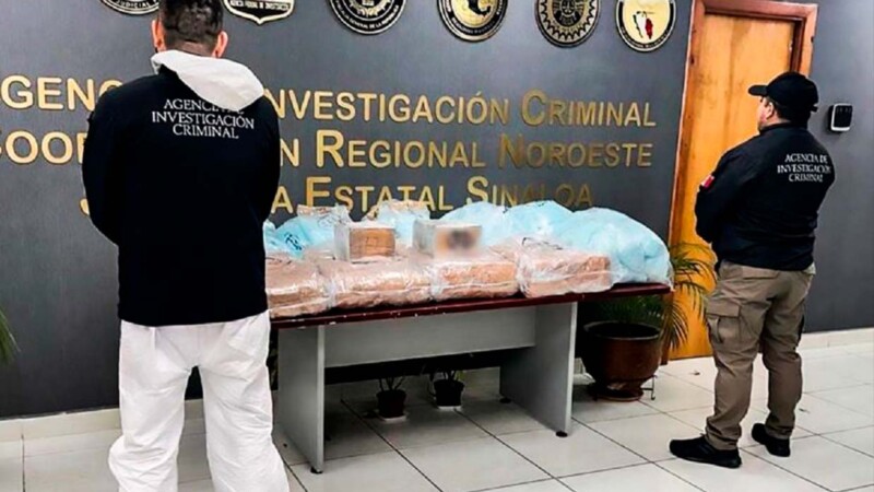Incautan 189,922 pastillas de fentanilo en paquetería de Sinaloa