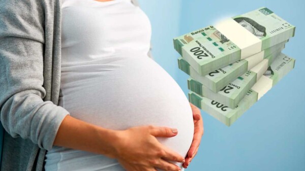 Con 5 embarazos y 12 abortos falsos, mujer defrauda al gobierno