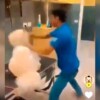 Indigna video de maltrato a perrito en una clínica