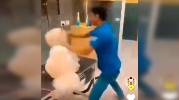 Indigna video de maltrato a perrito en una clínica