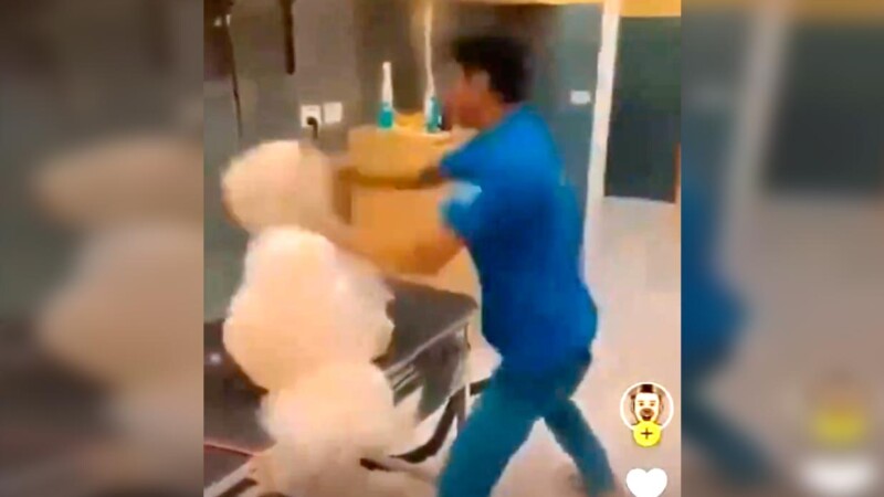 Indigna video de maltrato a perrito en una clínica