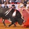Suspensión a corridas de toros en Plaza México es aplazada por jueza