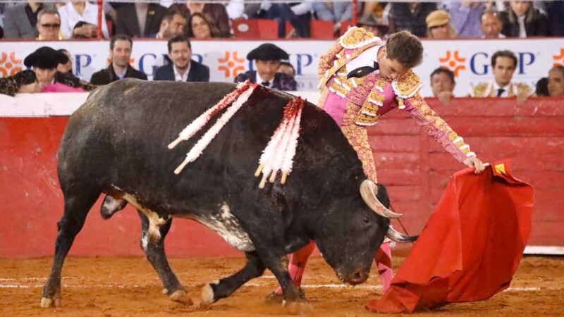 Suspensión a corridas de toros en Plaza México es aplazada por jueza