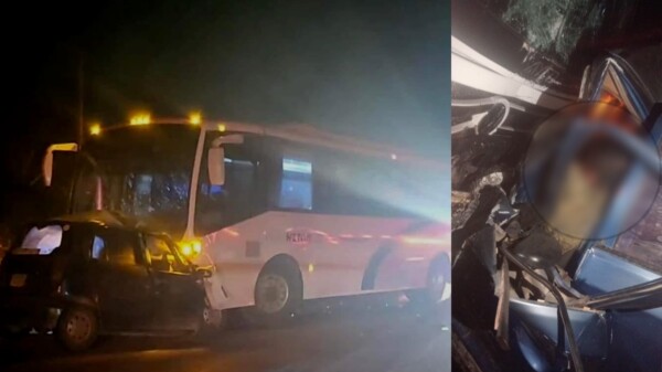 Muere automovilista en trágico accidente en la carretera federal Felipe Carrillo Puerto-Tulum