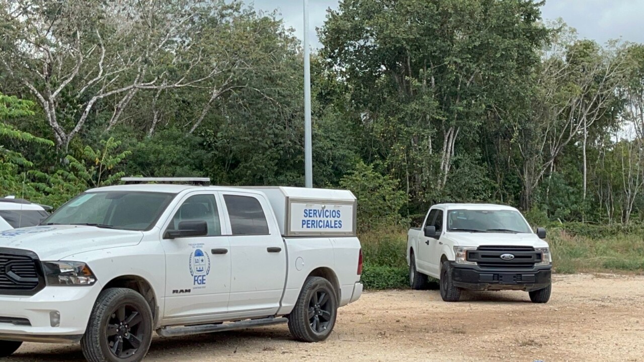 Buscan más restos humanos en la zona del fraccionamiento Aloja de Cancún; con el apoyo de binomios canino agentes de la FGE se internaron en la maleza.