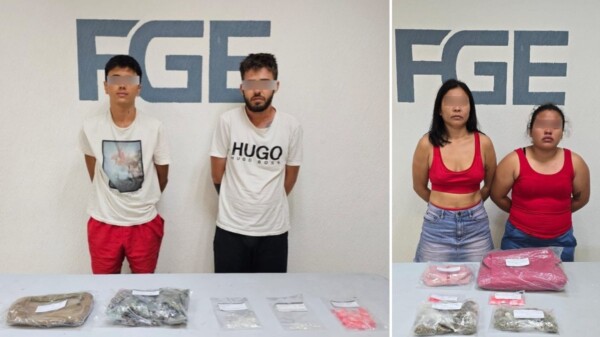 Aseguran drogas y detienen a cuatro durante cateos en Tulum