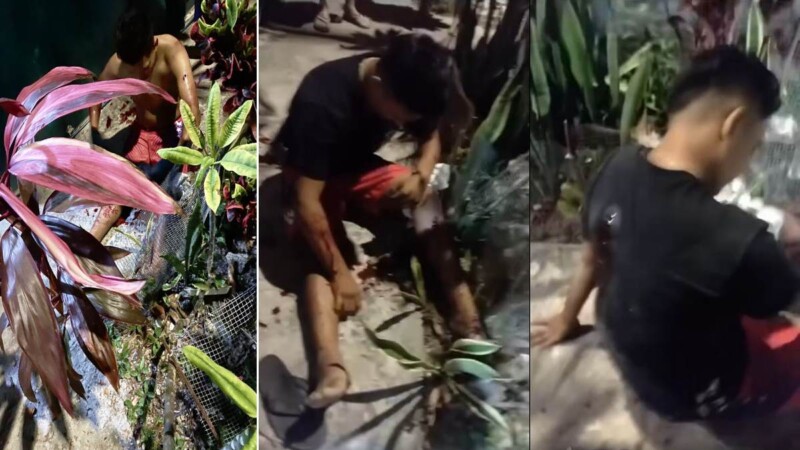 Intentan ejecutar a balazos al ‘Chapo’ de Cozumel