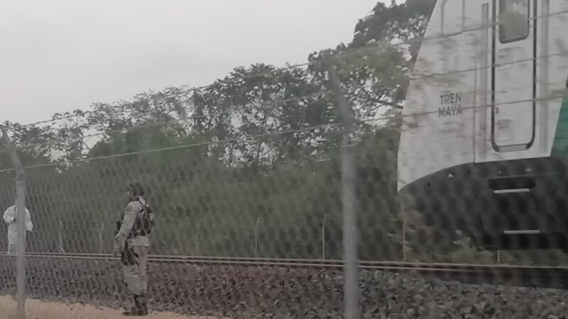 Tren Maya arrolla a dos migrantes cerca de Palenque, Chiapas