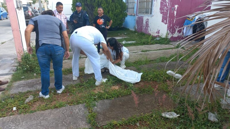 Reportan envenenamiento de perros y gastos en Prado Norte en Cancún